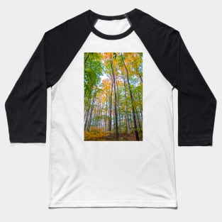 Autumn in the Tree Tops Baseball T-Shirt